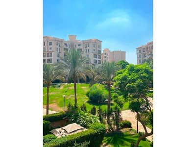 3 Bedroom Flat for Sale in Madinaty, Cairo - e44e3e97-57a6-471a-b4f0-6888dc56195d. jfif. jpg 3 Bedroom Flat for Sale in Madinaty, Cairo - e44e3e97-57a6-471a-b4f0-6888dc56195d. jfif. jpg