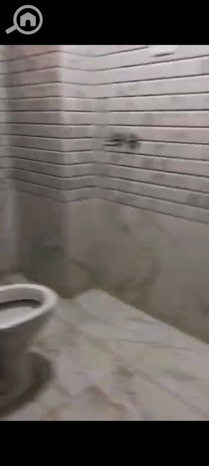 5 1000426790. jpg