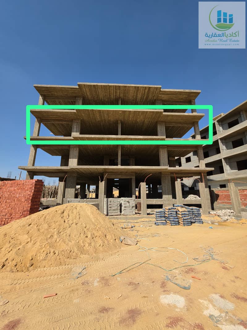 2 55534. jpg