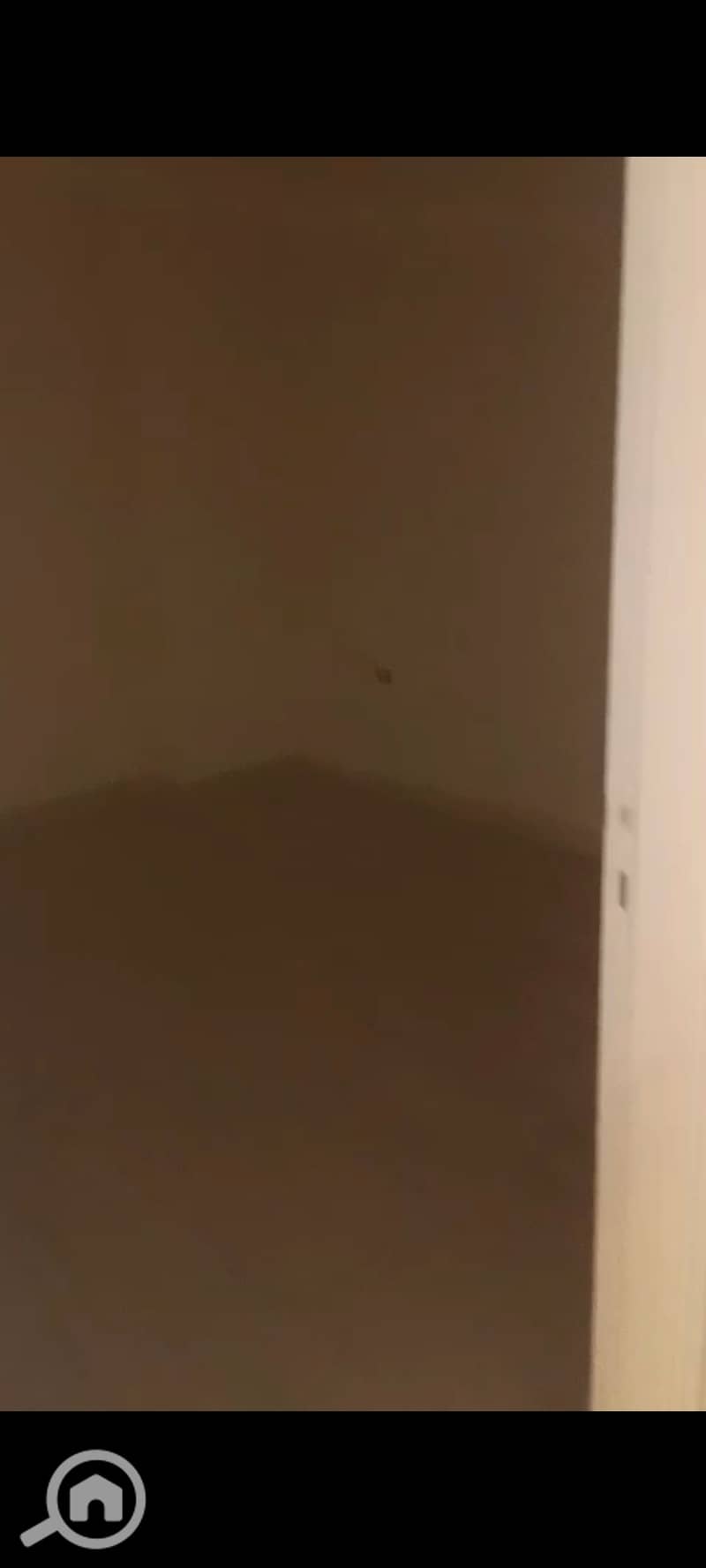 10 124549. jpg