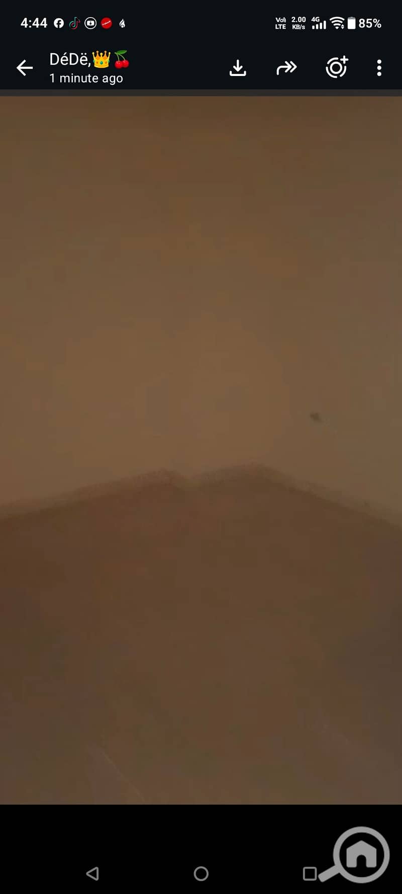 11 124548. jpg