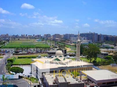 مکتب للبيع في سموحة، الإسكندرية - WhatsApp Image 2026-09-16 at 4.36. 19 PM. jpeg مکتب للبيع في سموحة، الإسكندرية - WhatsApp Image 2026-09-16 at 4.36. 19 PM. jpeg