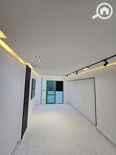 فلیٹ 2 غرفة نوم للبيع في النخيل، الإسكندرية - 87a1aa03-8c71-4150-afdb-f7019ae7056a. jpg