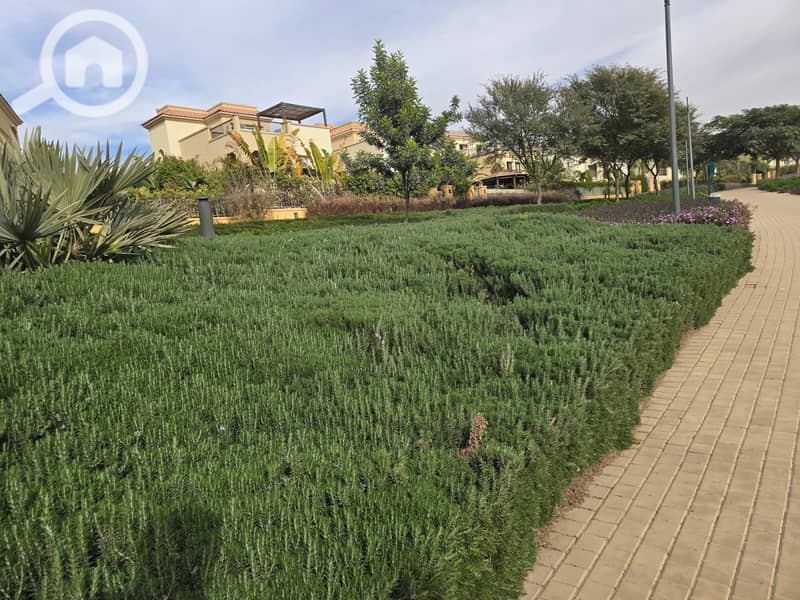 8 20260104_133752. jpg