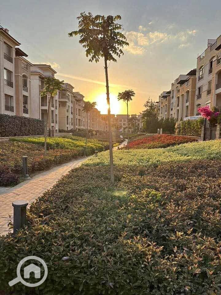 4 1000032394. jpg