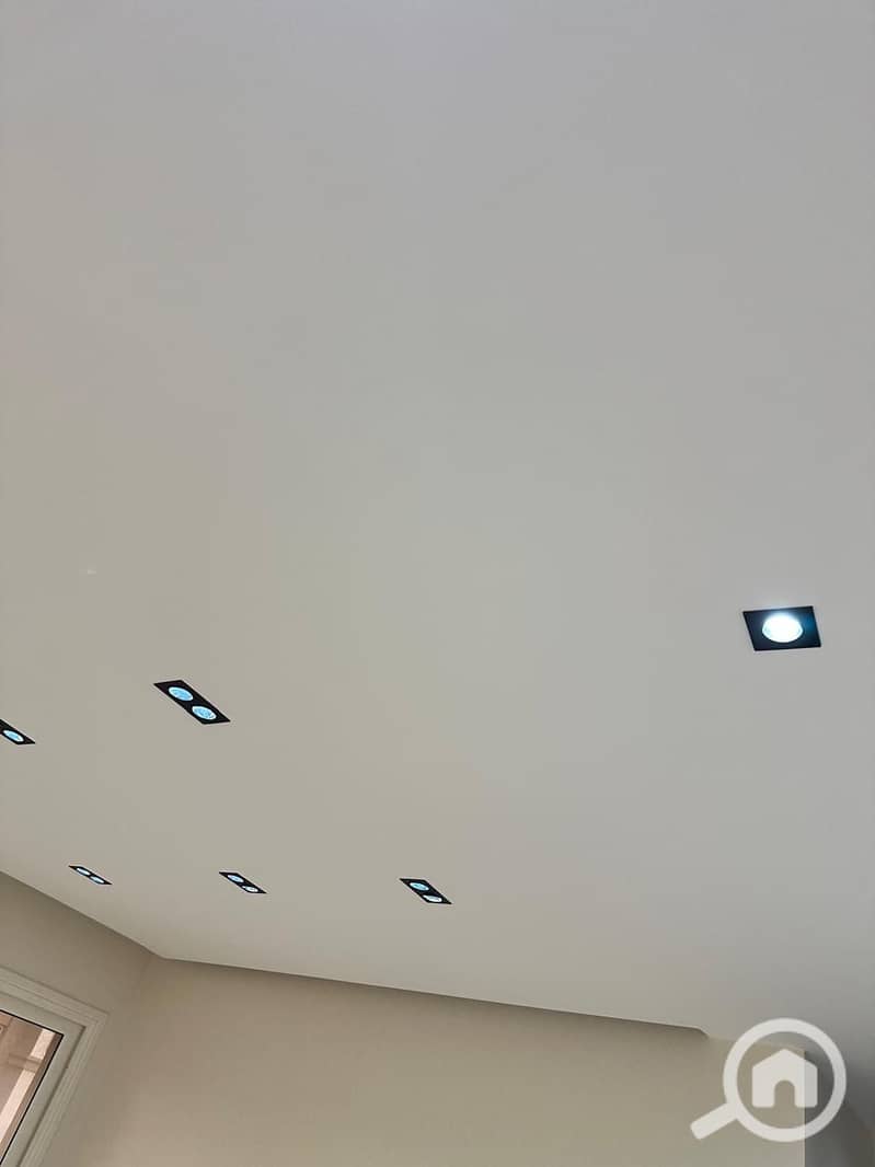7 357775. jpg
