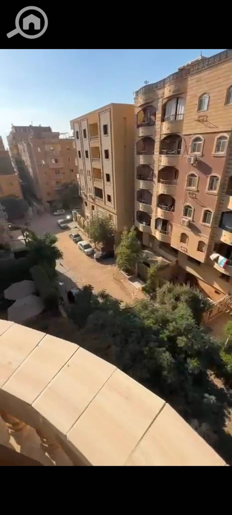 9 1000875797. jpg