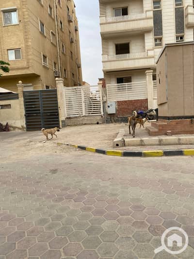 أرض للبيع في مصر الجديدة، القاهرة - 51682. jpg أرض للبيع في مصر الجديدة، القاهرة - 51682. jpg