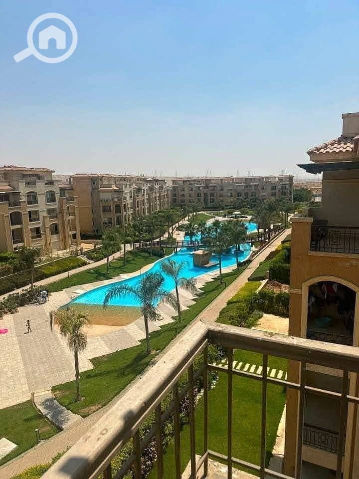 11 1000029703. jpg