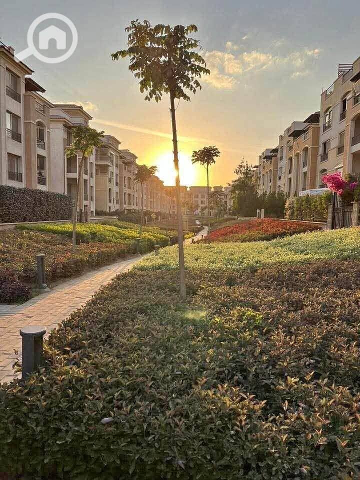 12 1000032394. jpg