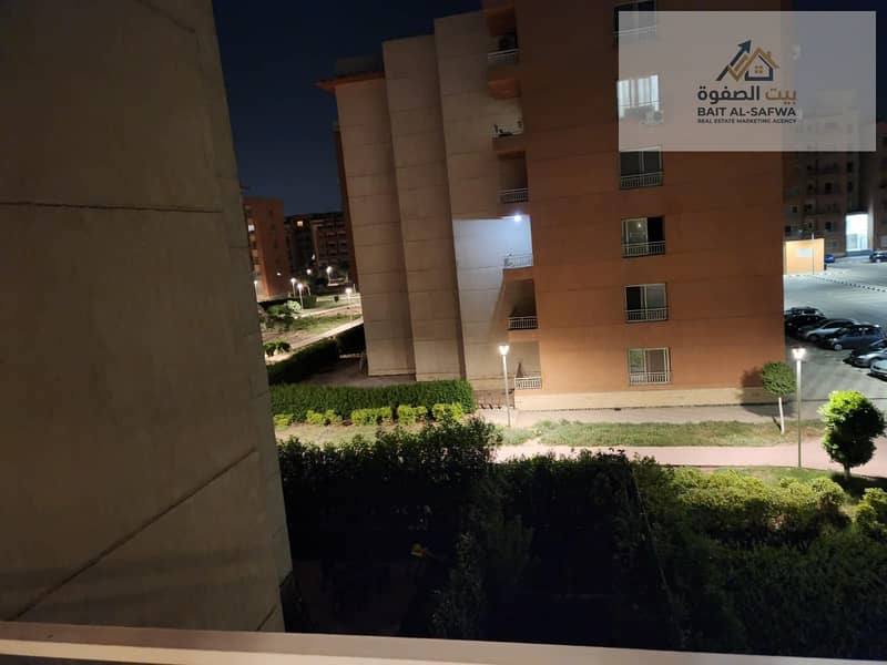 5 166903. jpg