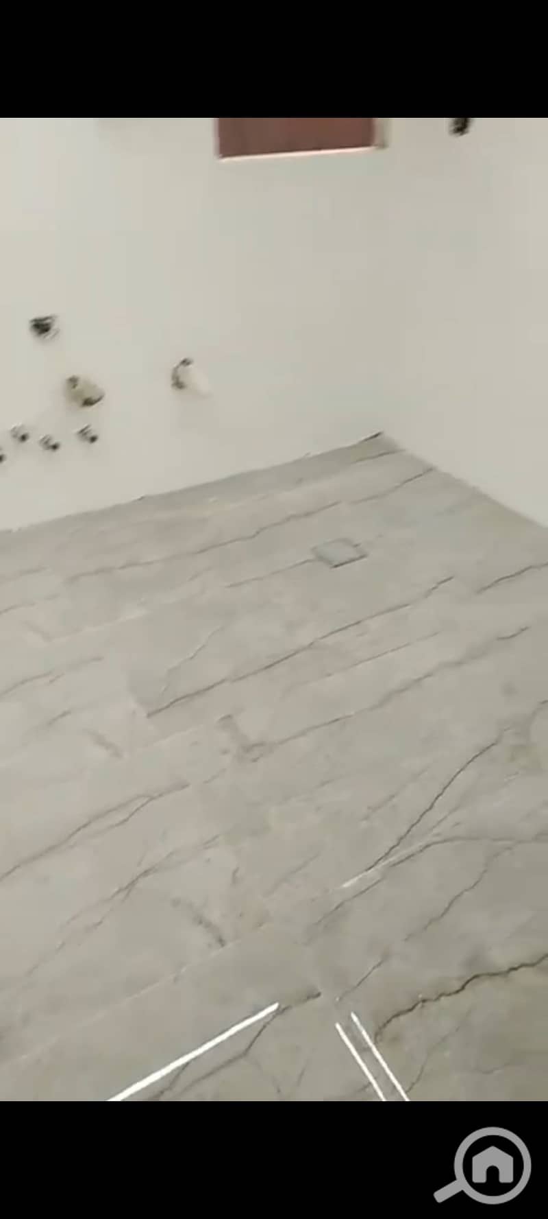 2 1001331782. jpg