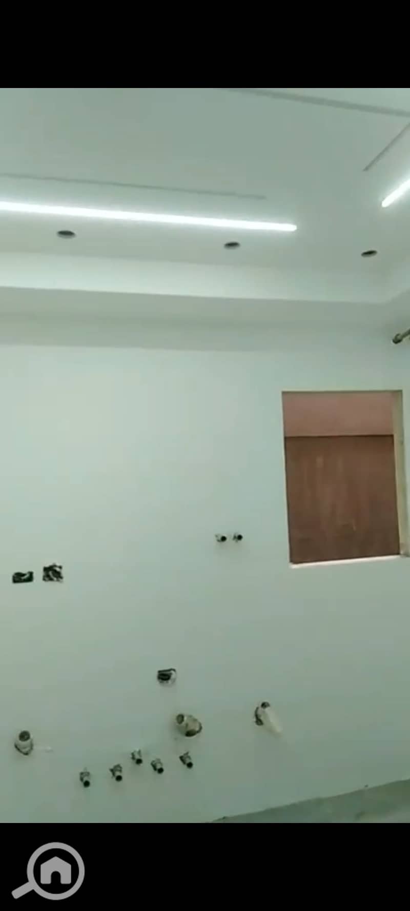 6 1001331784. jpg
