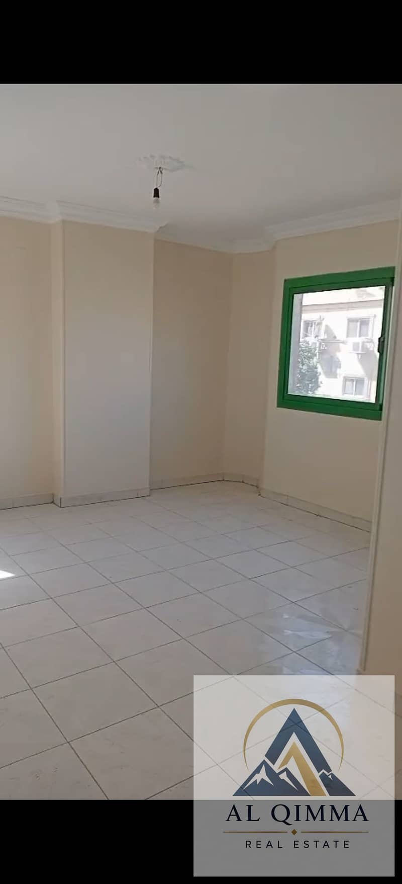 3 296123. jpg