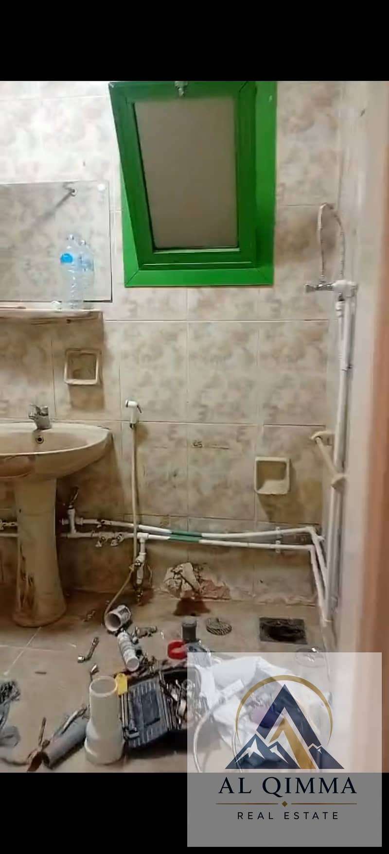 5 296129. jpg