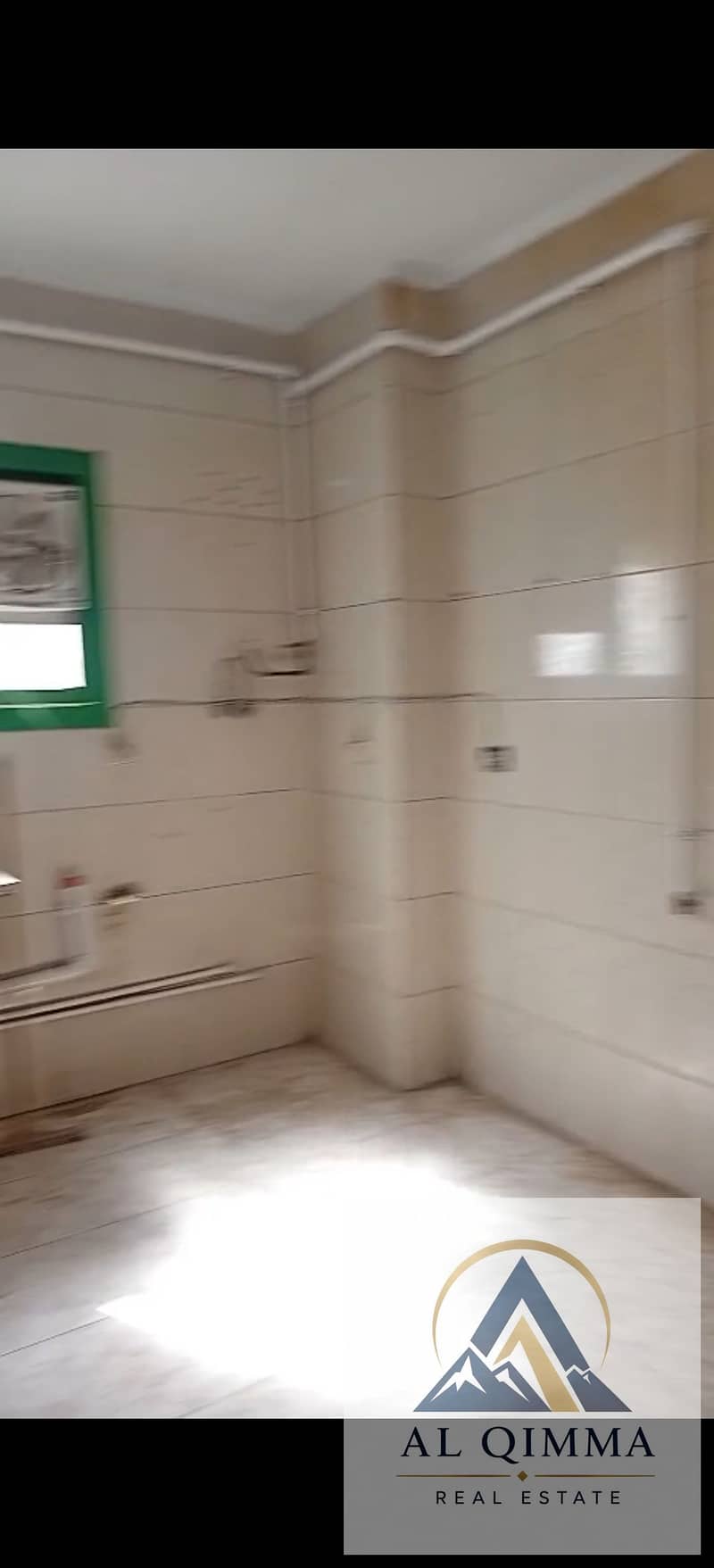 6 296126. jpg