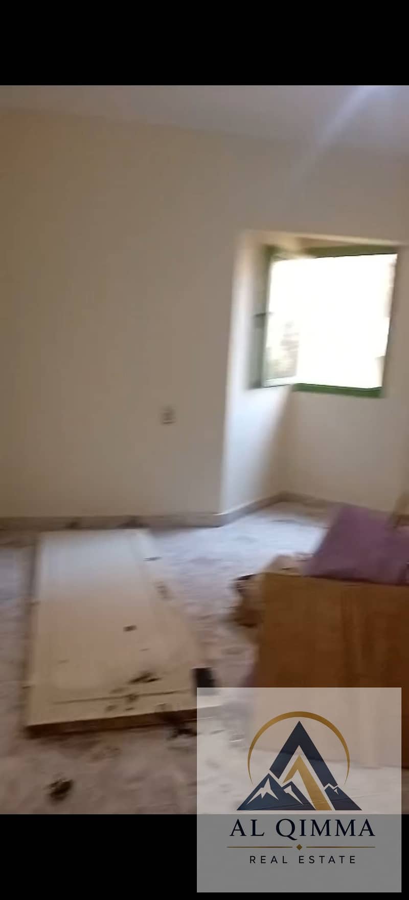 7 296127. jpg