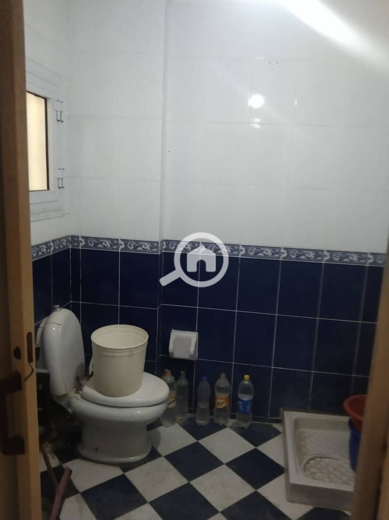 8 124690. jpg