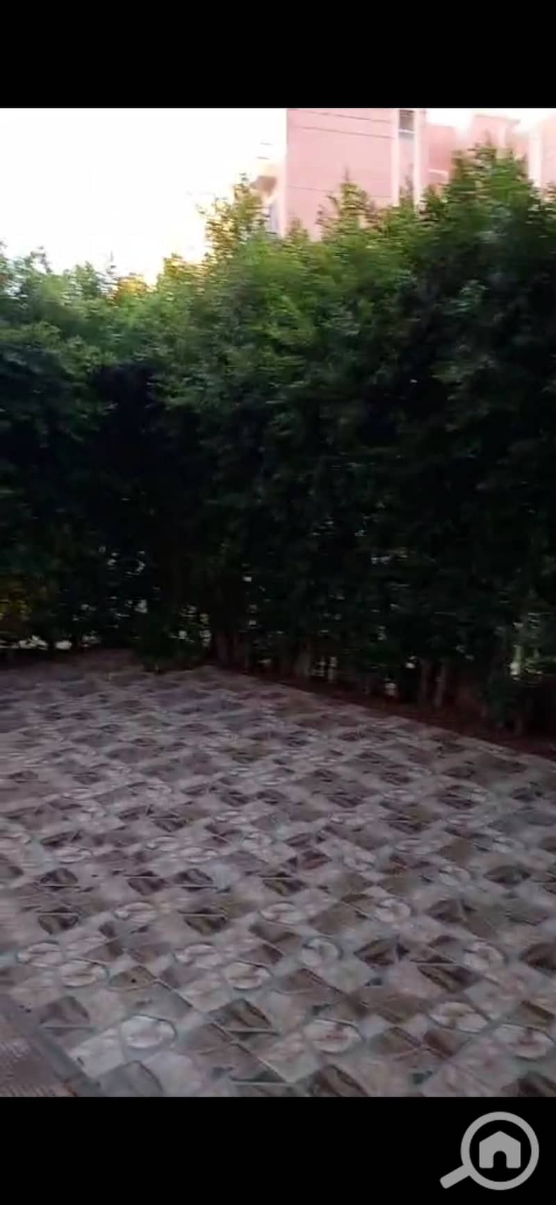 3 1000718468. jpg