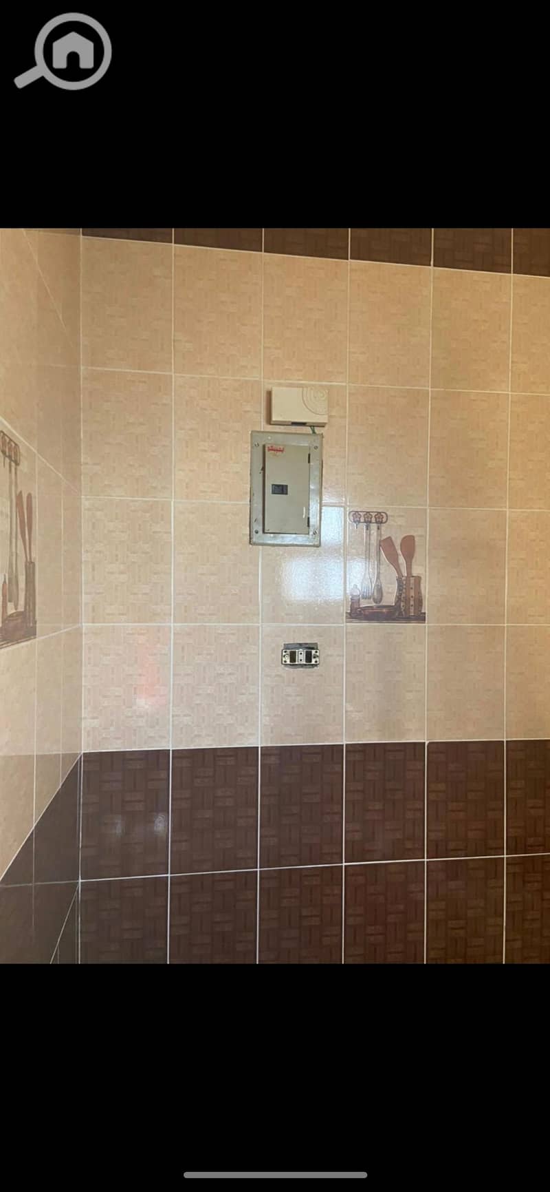 9 982866. jpg