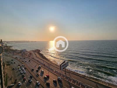 3 Bedroom Apartment for Rent in Al Ibrahimiyyah, Alexandria - IMG-20260916-WA0067. jpg