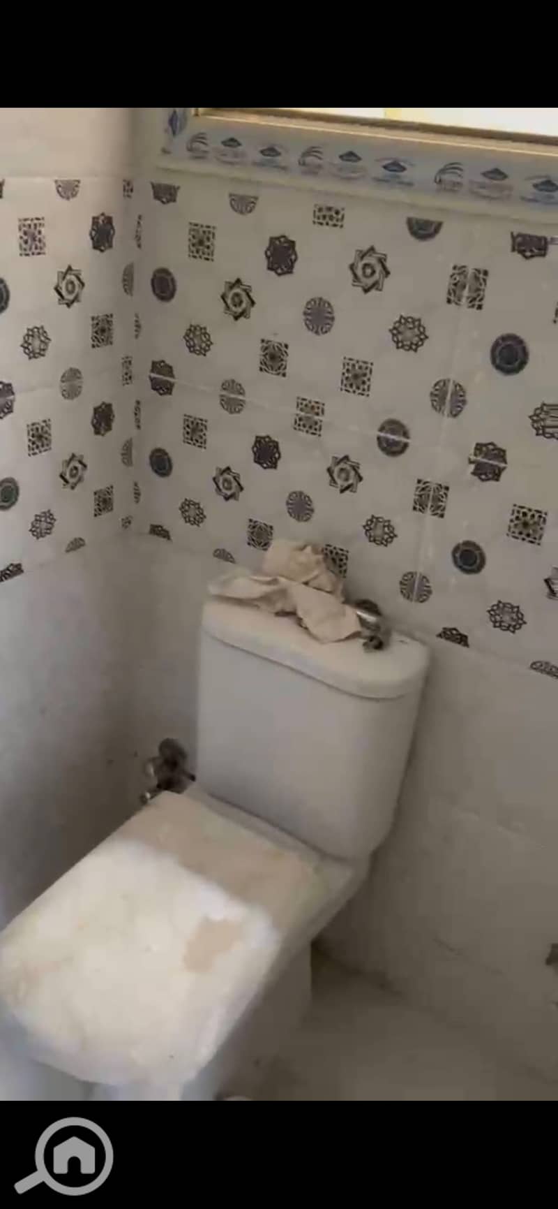 8 885357. jpg