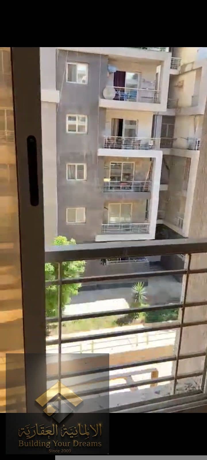5 49382. jpg