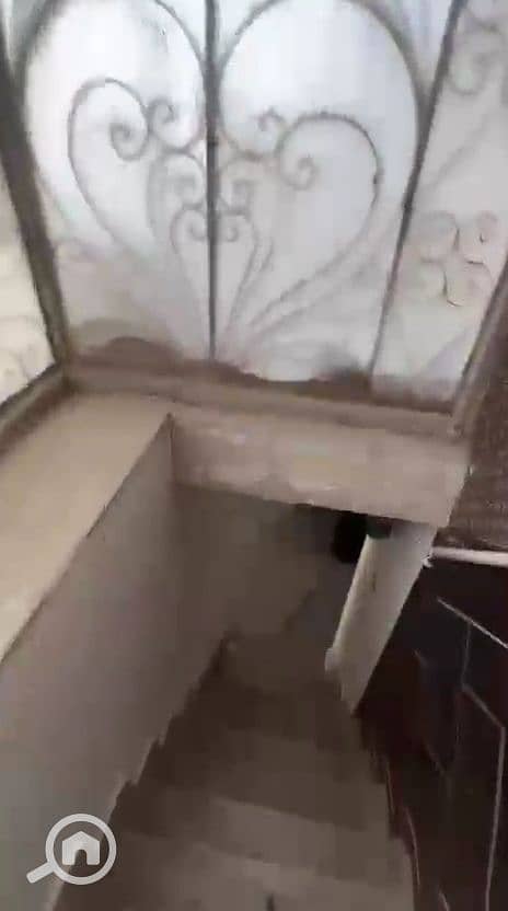 9 1000449165. jpg