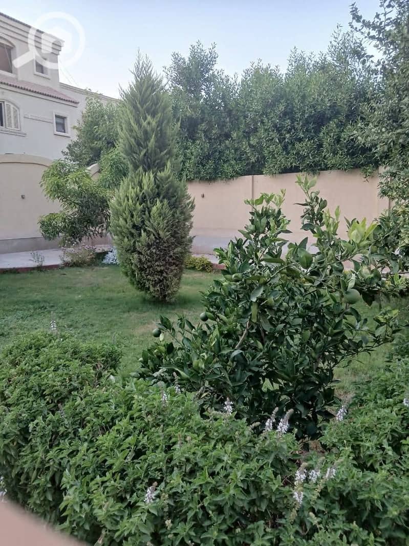 2 WhatsApp Image 2026-09-17 at 11.50. 10 AM (1). jpeg
