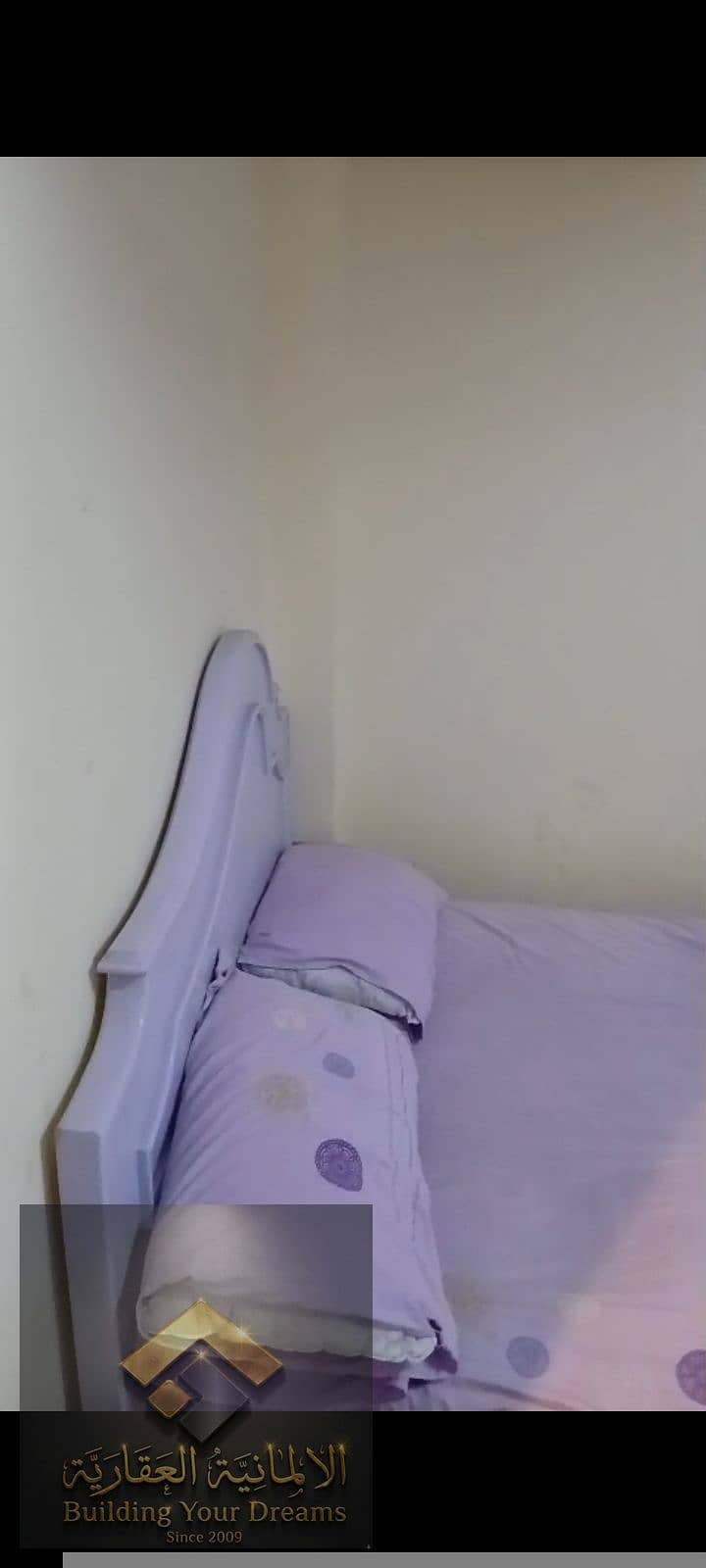 6 49557. jpg