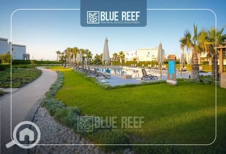 6 Bedroom Twin House for Sale in North Coast, Matruh - Rectangle rgeg. jpg