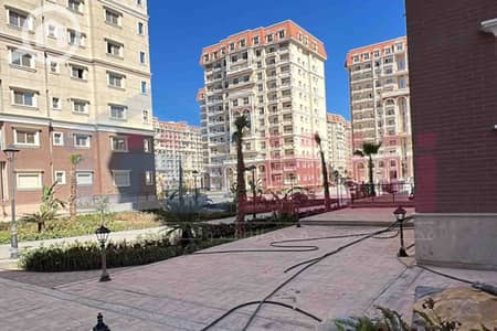3 Bedroom Flat for Sale in Moharam Bik, Alexandria - WhatsApp Image 2026-09-10 at 5.47. 15 PM. jpg 3 Bedroom Flat for Sale in Moharam Bik, Alexandria - WhatsApp Image 2026-09-10 at 5.47. 15 PM. jpg