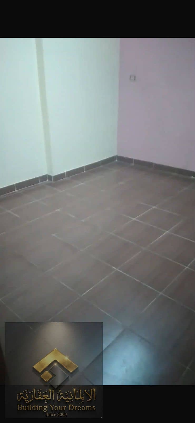 9 362744. jpg