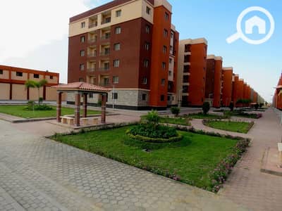 شقة 3 غرف نوم للبيع في العبور، القاهرة - 1762731363_947eed07870329_pic 1 - Copy. jpg