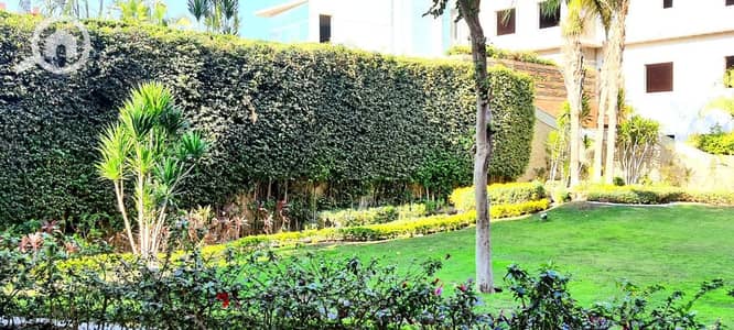 فلیٹ 3 غرف نوم للبيع في الشيخ زايد، الجيزة - WhatsApp Image 2026-09-17 at 2.36. 06 PM. jpeg فلیٹ 3 غرف نوم للبيع في الشيخ زايد، الجيزة - WhatsApp Image 2026-09-17 at 2.36. 06 PM. jpeg
