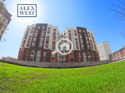 3 Bedroom Flat for Sale in Agami, Alexandria - WhatsApp Image 2026-09-17 at 1.07. 04 PM. jpeg