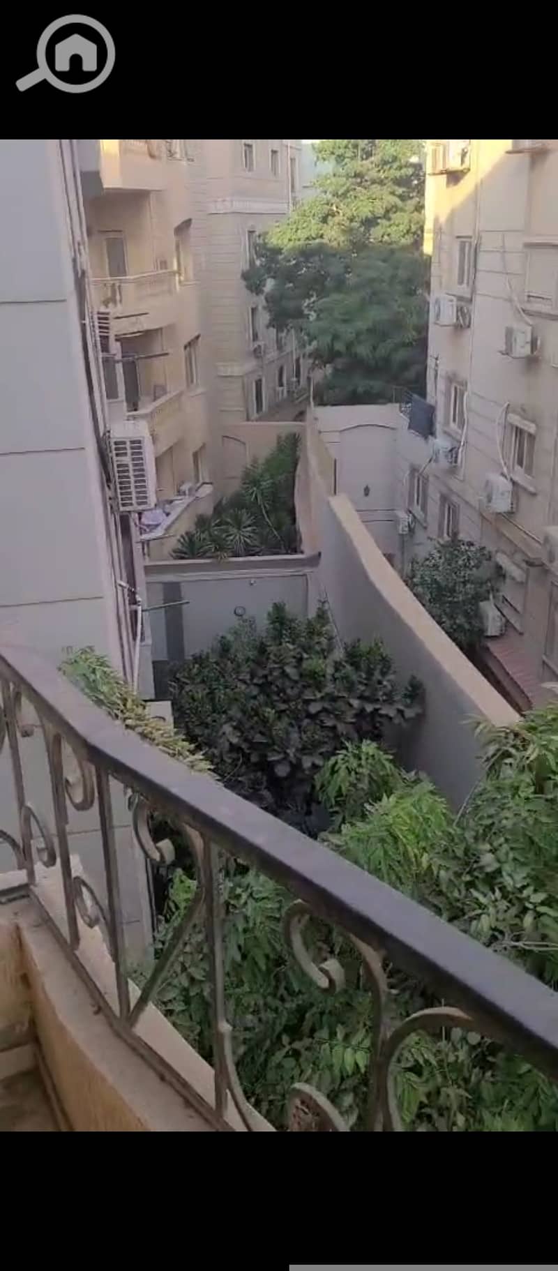 8 1000449031. jpg