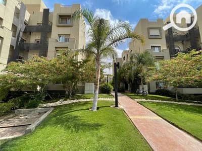 1 Bedroom Apartment for Rent in New Cairo, Cairo - WhatsApp Image 2026-09-16 at 1.57. 16 PM (2). jpeg 1 Bedroom Apartment for Rent in New Cairo, Cairo - WhatsApp Image 2026-09-16 at 1.57. 16 PM (2). jpeg