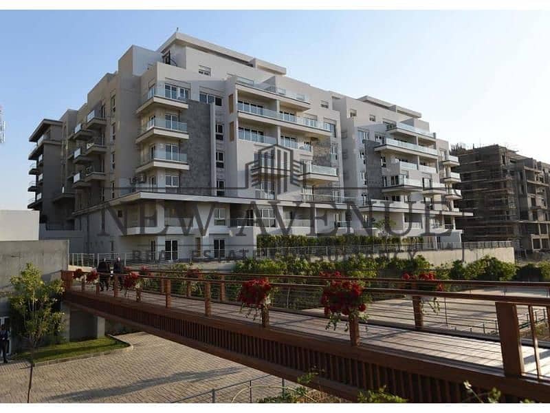 12 e8cfc54d-fb28-4be6-82ba-606f8f9bb900. jfif. jpg