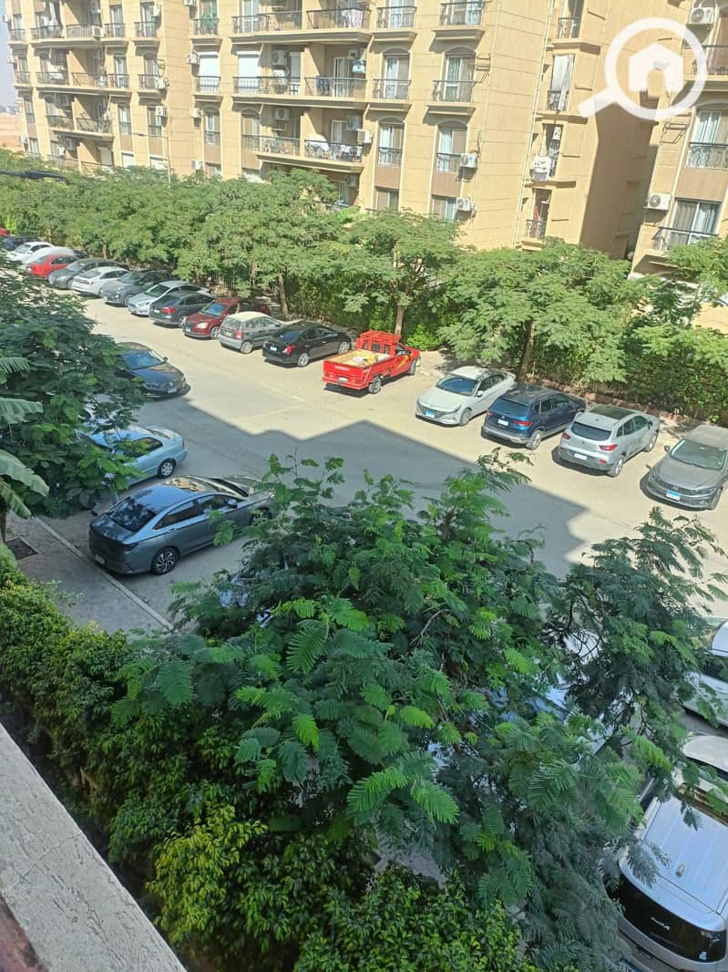 10 1000778365. jpg