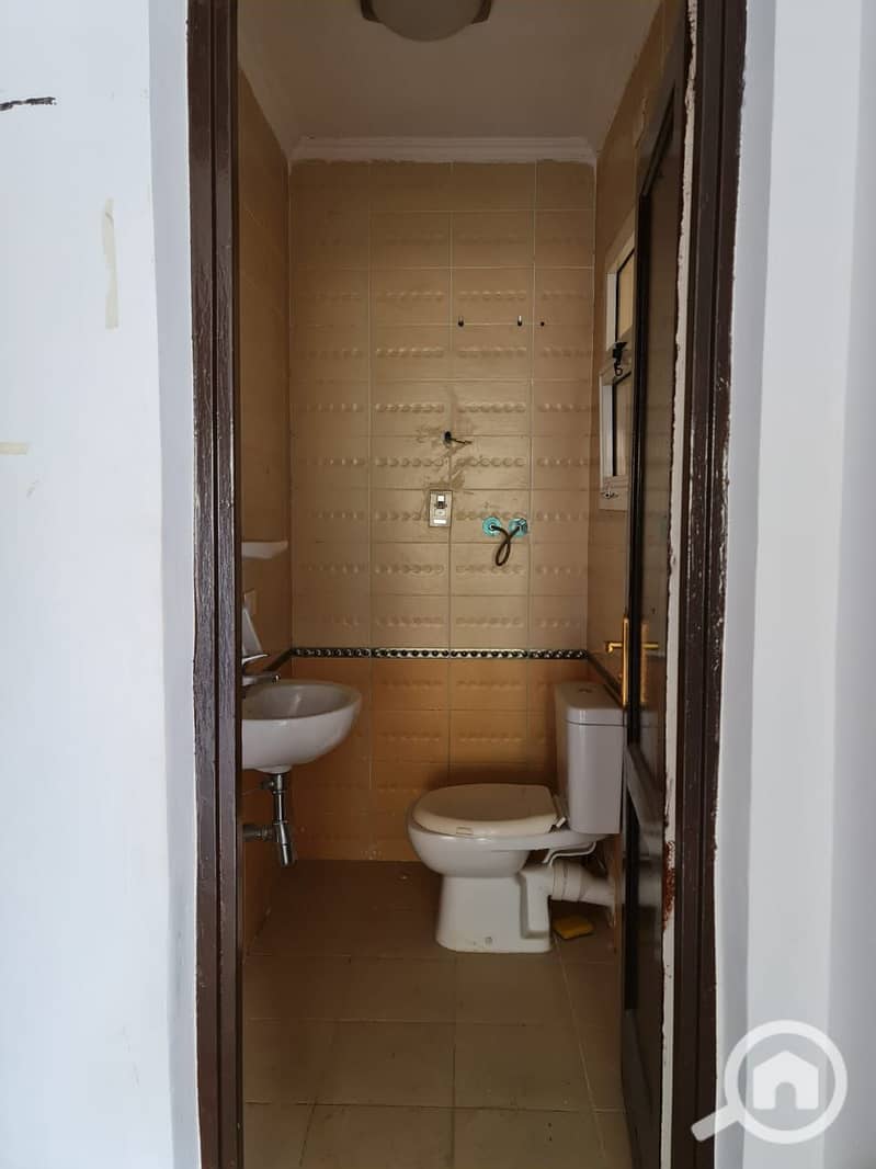 5 5. jpg