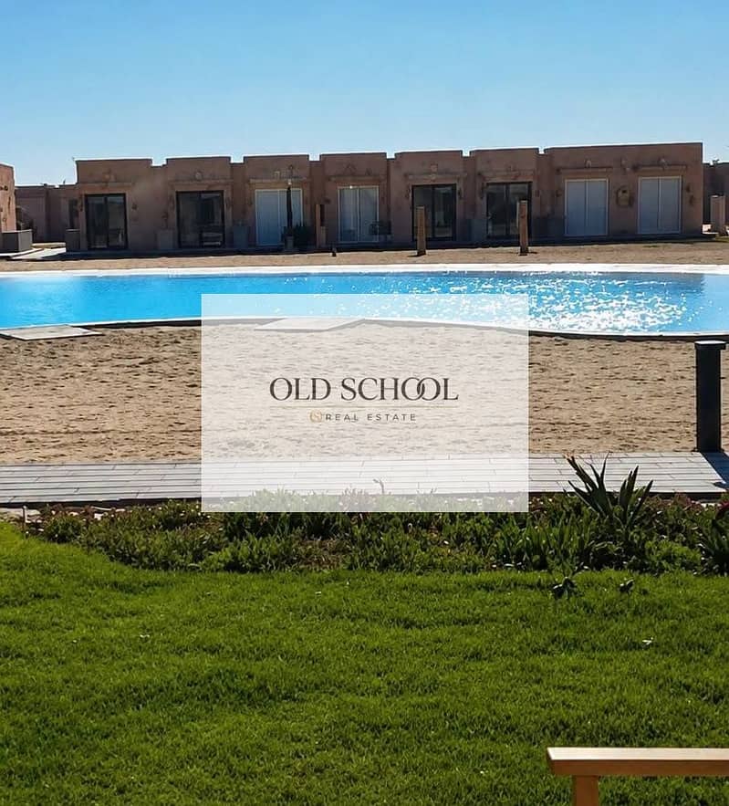 6 145165. jpg