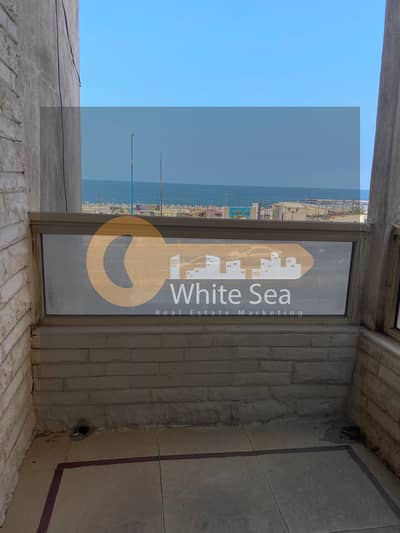 مکتب للايجار في سابا باشا، الإسكندرية - 1001231803. jpg مکتب للايجار في سابا باشا، الإسكندرية - 1001231803. jpg