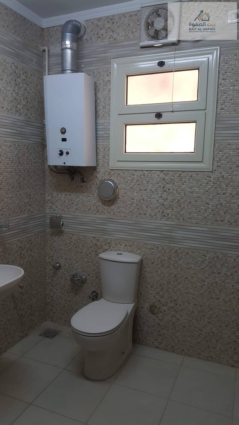 4 167812. jpg