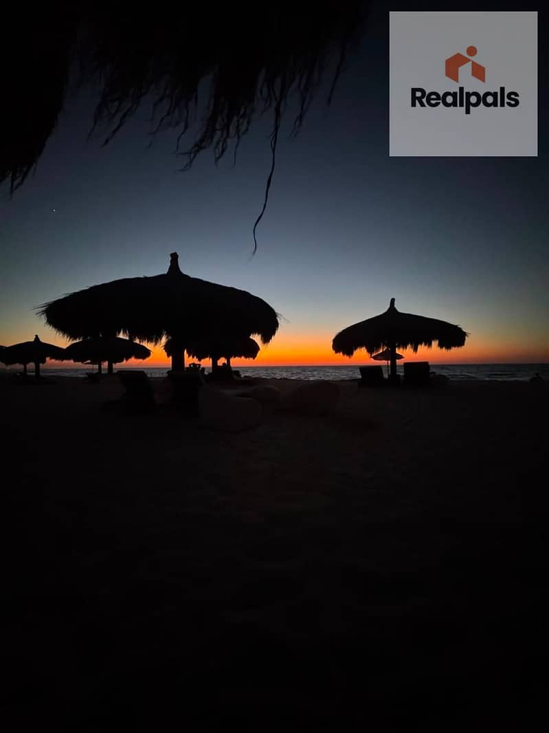 8 WhatsApp Image 2026-08-24 at 4.31. 42 PM (2). jpeg