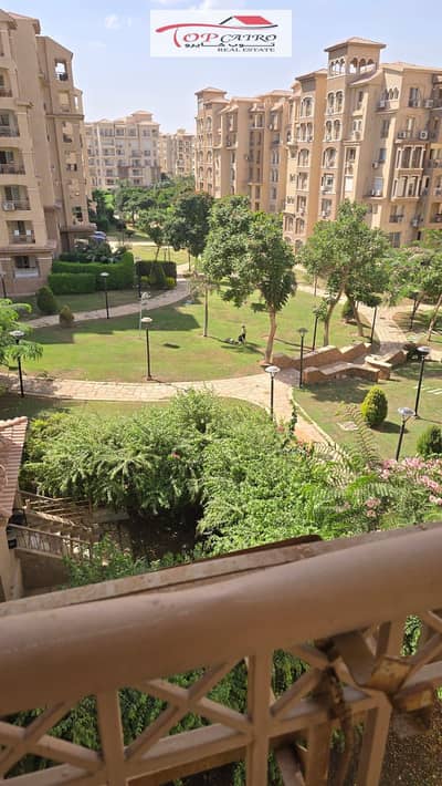 3 Bedroom Apartment for Rent in Madinaty, Cairo - WhatsApp Image 2026-09-17 at 2.45. 11 PM. jpeg