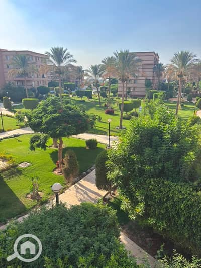 شقة 3 غرف نوم للبيع في القاهرة الجديدة، القاهرة - WhatsApp Image 2026-09-17 at 2.50. 34 PM. jpeg شقة 3 غرف نوم للبيع في القاهرة الجديدة، القاهرة - WhatsApp Image 2026-09-17 at 2.50. 34 PM. jpeg
