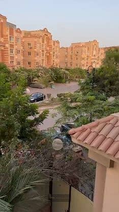 8 6غفقبلت غفلب (3). png