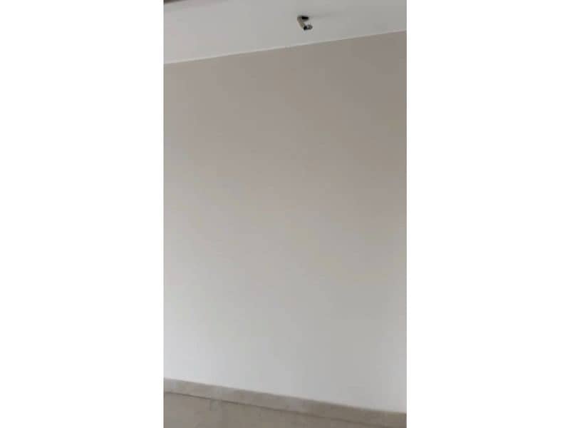 7 82203. jpg