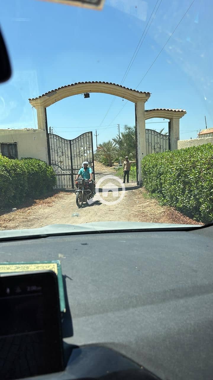 12 1000256899. jpg